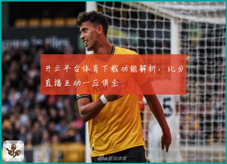 开云平台体育下载功能解析，比分直播互动一应俱全