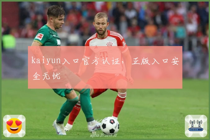 kaiyun入口官方认证，正版入口安全无忧