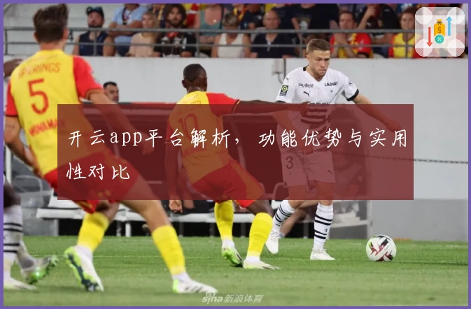 开云app平台解析,功能优势与实用性对比