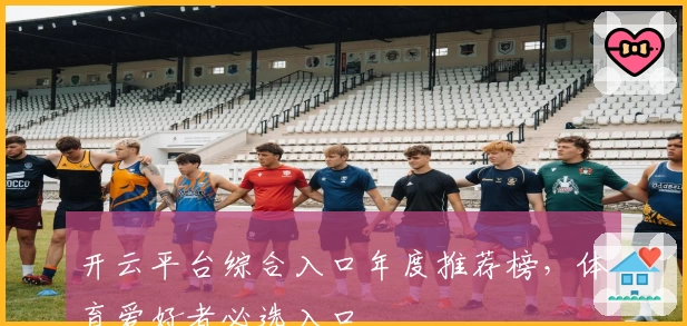 开云平台综合入口年度推荐榜，体育爱好者必选入口