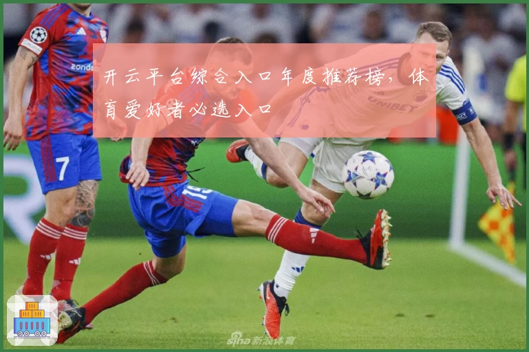 开云平台综合入口年度推荐榜，体育爱好者必选入口