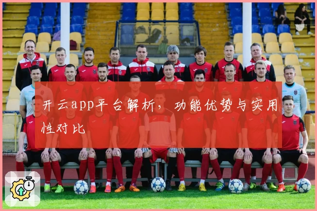 开云app平台解析，功能优势与实用性对比