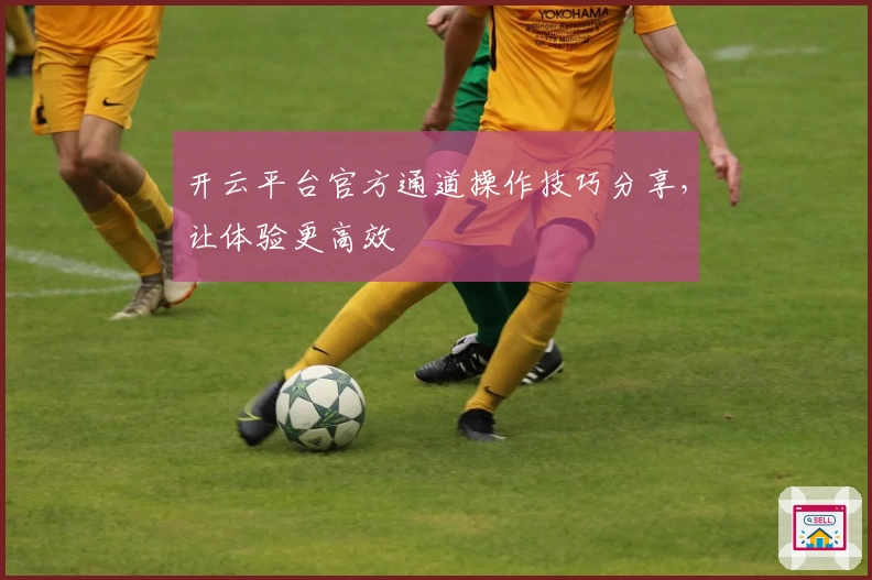 开云平台官方通道操作技巧分享，让体验更高效