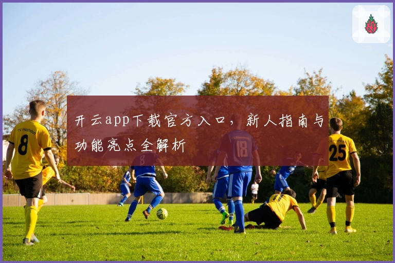 开云app下载官方入口，新人指南与功能亮点全解析